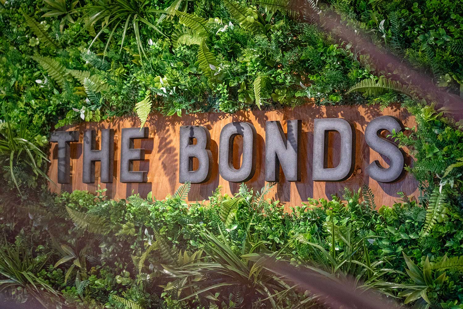 THE BONDS